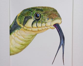 Grass-snake Original Watercolour Mounted 10x12