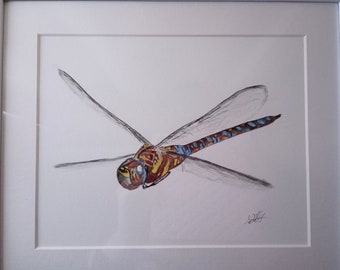 Dragonfly in Flight Original Watercolour Mounted 10x12