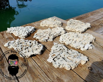 ARK Shelf Reef Rock Dry Aquariums