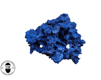 ARK Blue Coral Reef Rock Dry Aquarium