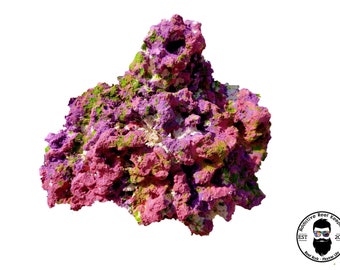 ARK Island Dreams Reef Rock Dry Aquarium 3 colors
