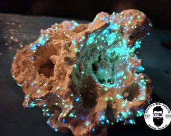 ARK Glowing Star Reef Rock Dry Aquarium