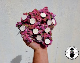 ARK Frag Rock Island Dreams - 10 trous de fragmentation - 9 po. x 8 po.