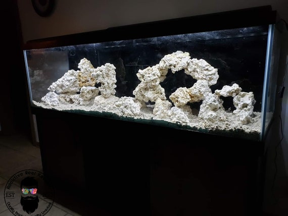 Real Reef Premium Live Rock For Saltwater Aquariums (40 LB) : :  Pet Supplies