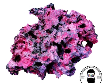 ARK Ocean Dreams Reef Rock Dry Aquariums