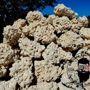 May include: A pile of light beige, porous, textured rock. The rocks are stacked in a pyramid shape. A circular logo with the text "Active Reef Keeping EST 2012 Quality Products Quality Livestock" is visible in the lower right corner of the image.