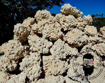 ARK White Reef Rock Dry Aquariums