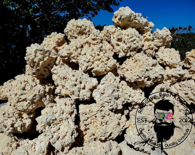 Large Natural Limestone Beach Rock for Aquarium Fish Tank Etsy