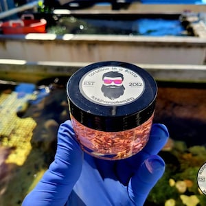 May include: A small glass jar filled with coraline algae. The jar has a black lid with a white sticker that says "Coraline in a Bottle" with a cartoon character wearing sunglasses and a beard. The sticker also says "Est 2012" and "AddictiveReefkeeping".