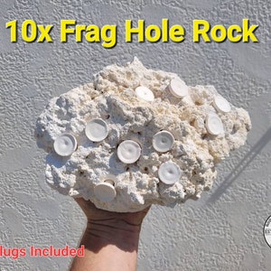 ARK Frag Rock- 10 Frag Holes- 9"× 8"