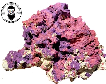 ARK Coralline Reef Rock Dry Aquarium