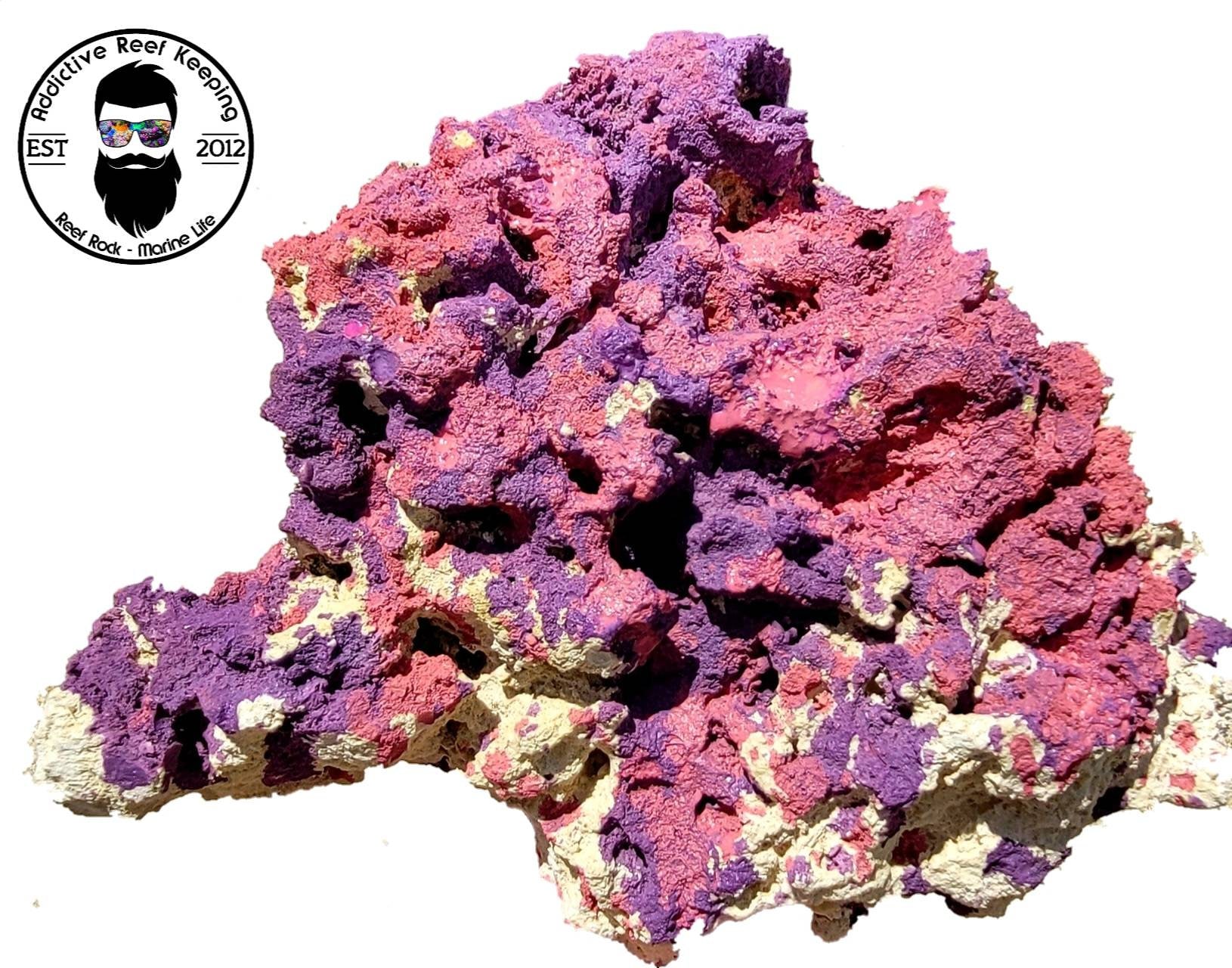 ARK Coralline Reef Rock Dry Aquarium - Etsy