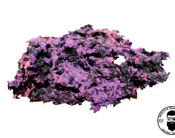 ARK Purple, Pink and Black Reef Rock Dry Aquarium