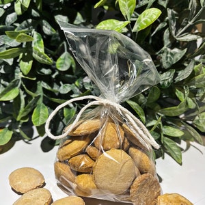 Gourmet Pumpkin Dog Treats