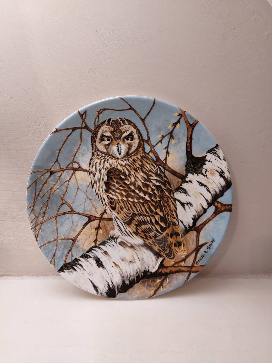 Vintage Coalport The Short Eared Owl 8" Picture plate.