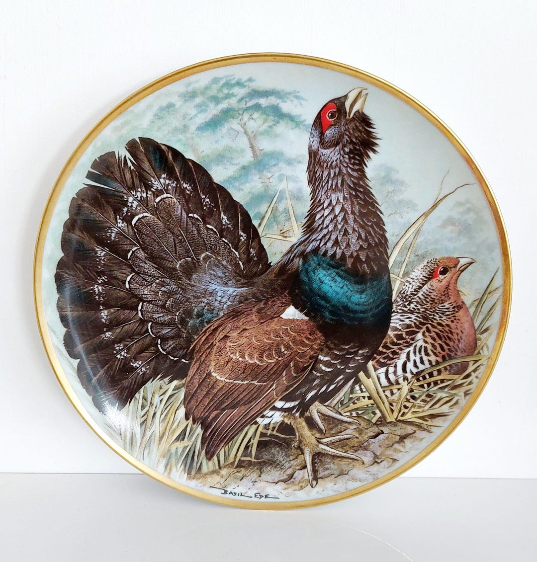 Vintage Franklin Porcelain the Game Birds of the World Collection