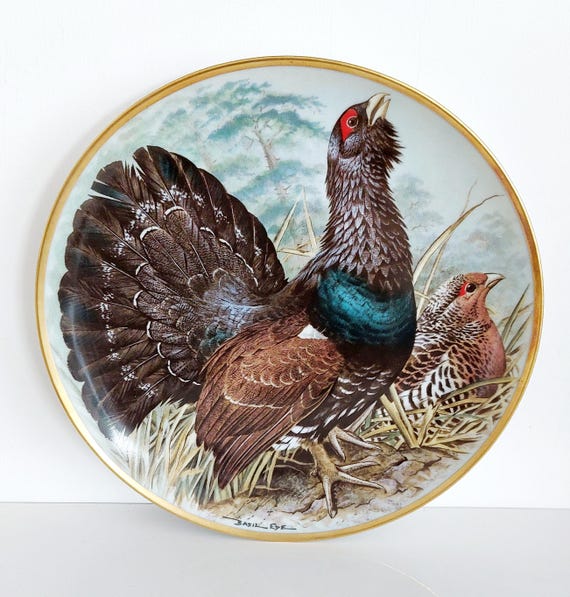 Vintage Franklin Porcelain the Game Birds of the World Collection