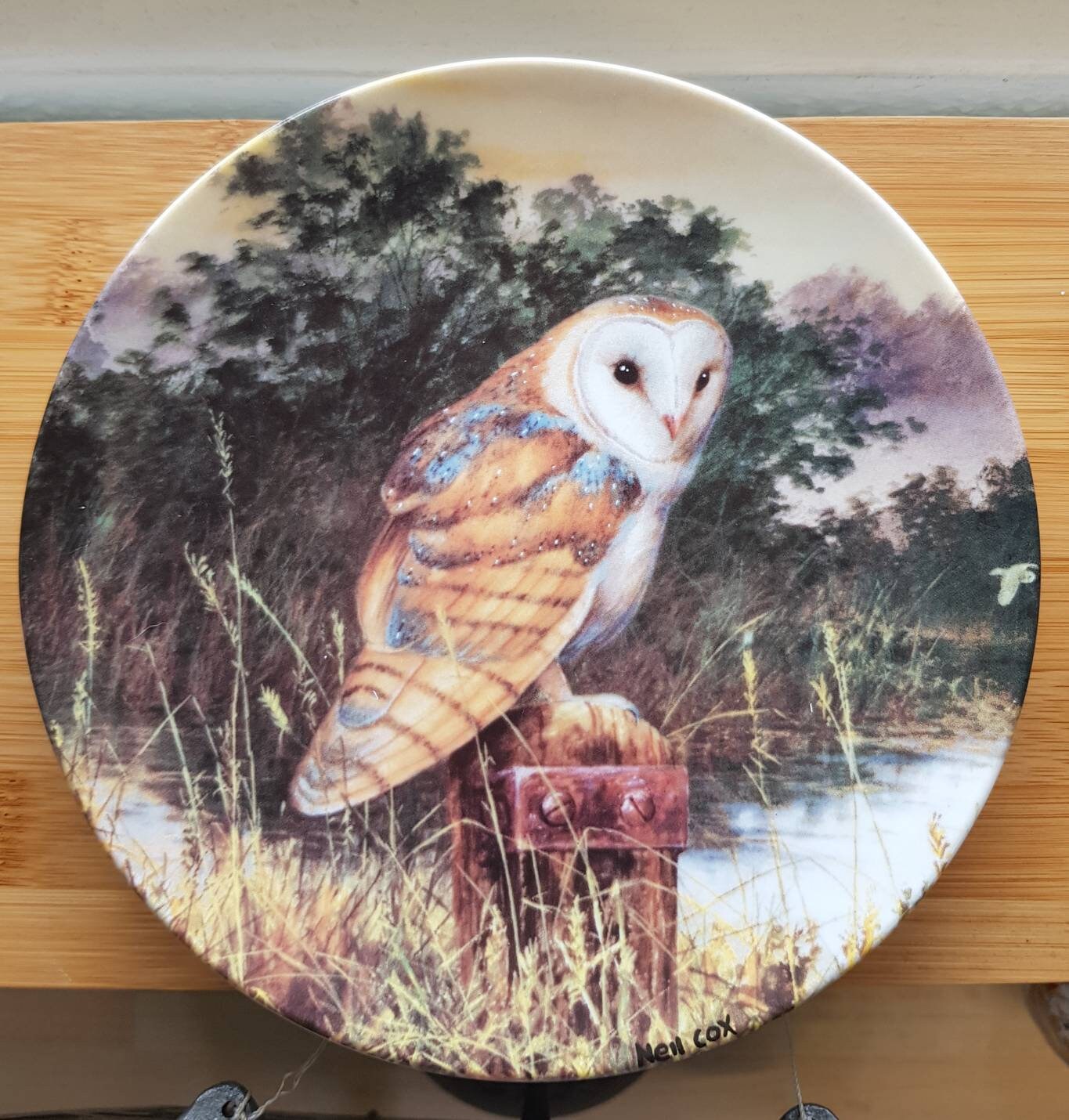 Royal Worcester/Danbury Mint Owl Picture Plate