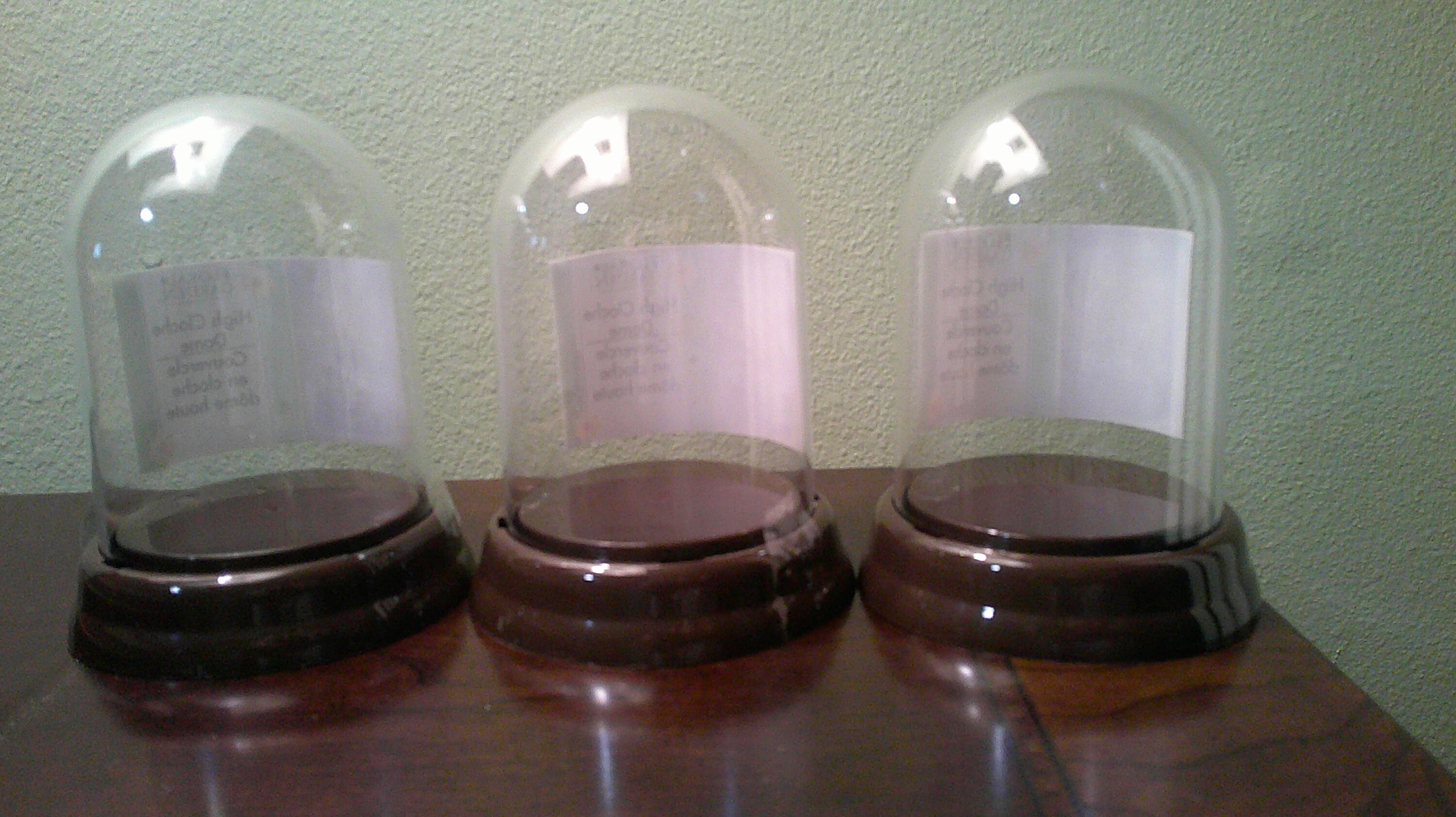 Lot of Clear Plastic Cloche Dome, Plastic Cloche, DIY Craft Supply Pick