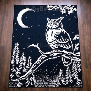 Peut inclure: Une couverture au crochet noire et blanche représentant un hibou perché sur une branche, sous un croissant de lune et des étoiles. Le motif comprend des arbres stylisés, créant une scène nocturne. Fait main.