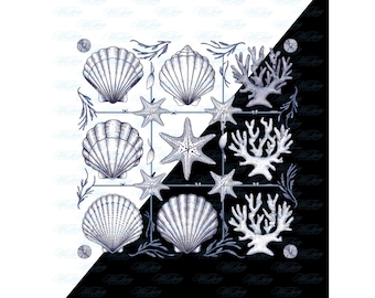 Muscheln PNG: Retro Küsten Clipart für den Sommer Projekte (Digitaler Download)