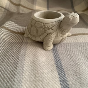 Könnte beinhalten: Ein hellgrauer Beton-Schildkröten-Pflanztopf. Die Schildkröte hat ein detailliertes Schalenmuster und eine runde Öffnung zum Bepflanzen. Der Pflanztopf ist ein dekorativer Artikel für Haus oder Garten.