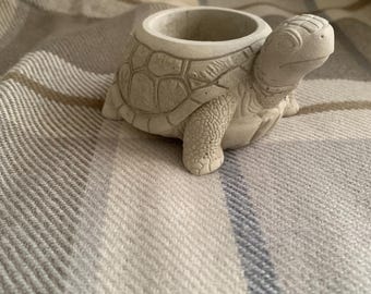 Planter kleine schildpad – kleine vetplant/luchtpot