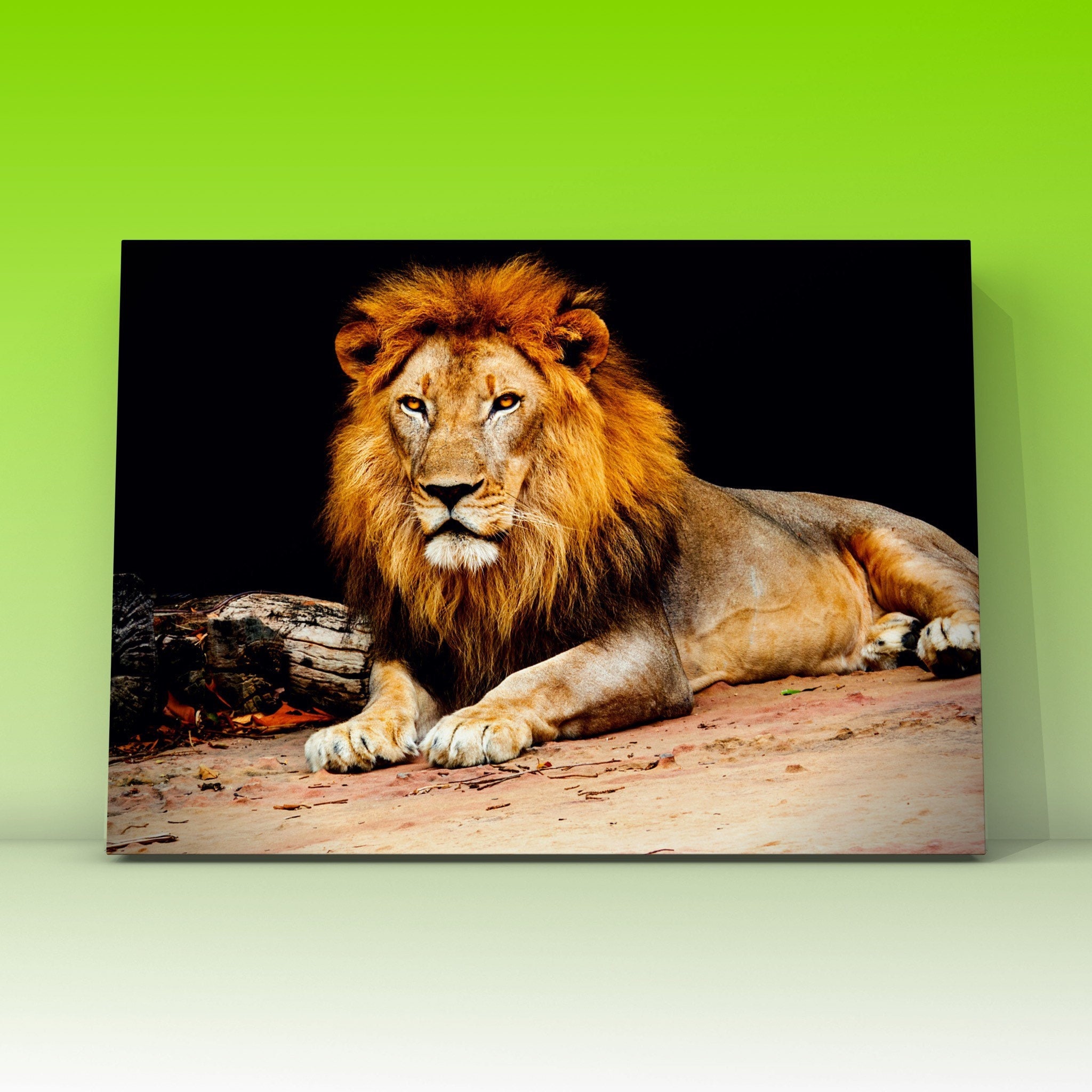 Tableau Lion Sauvage, Animaux, Impression sur Toile Lion, Portrait Tableau Décoratif, Grand Tableau,