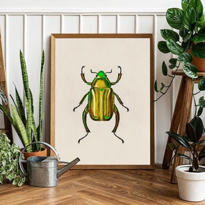 Insekt Druck, bunte Käfer Illustration, Vintage Käfer Illustration, niedliche Käfer Zeichnung, Digital download Käfer Kunst, alte Insekten Kunst
