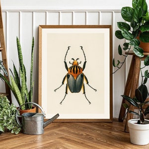 Insect print, Botanical wall illustration, Beetle poster, Vintage insect wall decor, Digital download, Gift for nature lovers, Sweet bug art