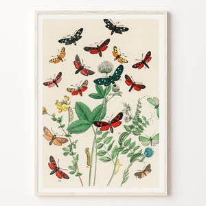 Retro insect print, Butterflies wall art, Extra large wall decoration, Botanical bug sketch, Vintage butterflies tree, Printable files