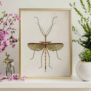 Insect print, Dragonfly poster, Minimalist wall decor, Botanical illustration, Bug drawing, Digital download, Natural History art, Vintage