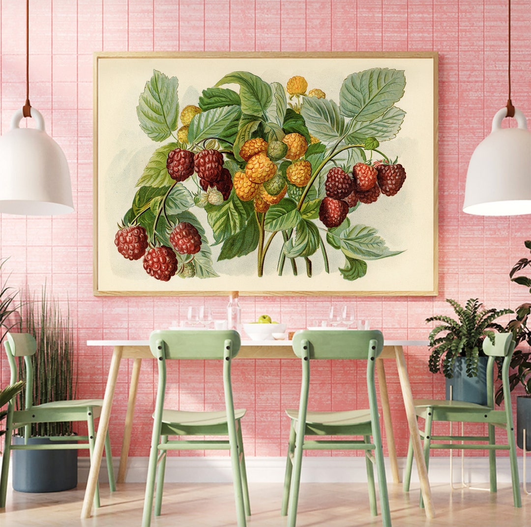 Vintage Raspberry Print, Farmhouse Wall Decor, Antique Plant Poster ...