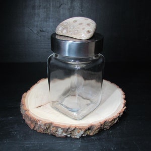 May include: A clear glass jar with a silver lid and a light brown stone on top. The jar is sitting on a wooden slice.