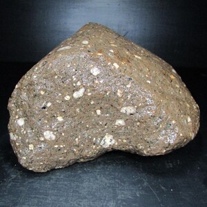 Amygdaloidal Basalt | Great Lakes Conglomerate︱Michigan Rough Rock︱Fresh Stone Find