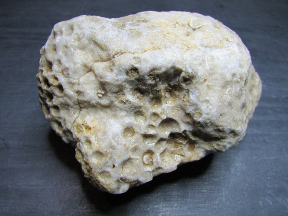 Identifying Agate Rocks Rough How To Recognize Rough Agate Sciencing Agate Rough Rocks Fossils Whyoo