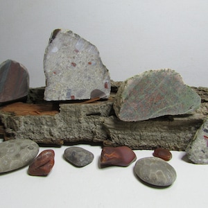 Mini Michigan Stone Set︱2 Pounds︱Faced Rocks︱Pudding Stone Slab︱Petoskey Stones︱Lake Superior Agates