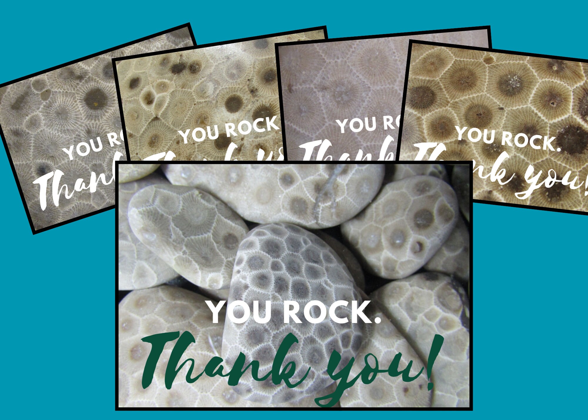 Thank You Printable Cards Petoskey Stone Photo Cards Variety Pack Instant Download File DIY ...