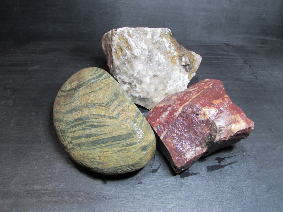 Pataski Rocks Michigan Stone Trio: Rough Petoskey Coral Fossil Rocks - Etsy