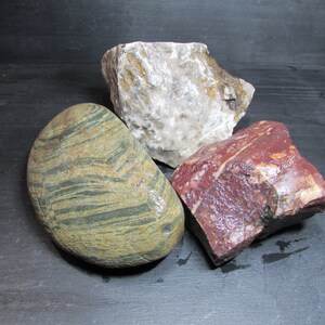 Michigan Stone Trio | Rough Rocks | Great Lakes Mineral Specimen | Petoskey Coral Fossil