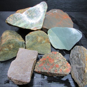 Michigan Rock Variety Mix︱Cut + Faced Rock︱Fossil︱Unakite