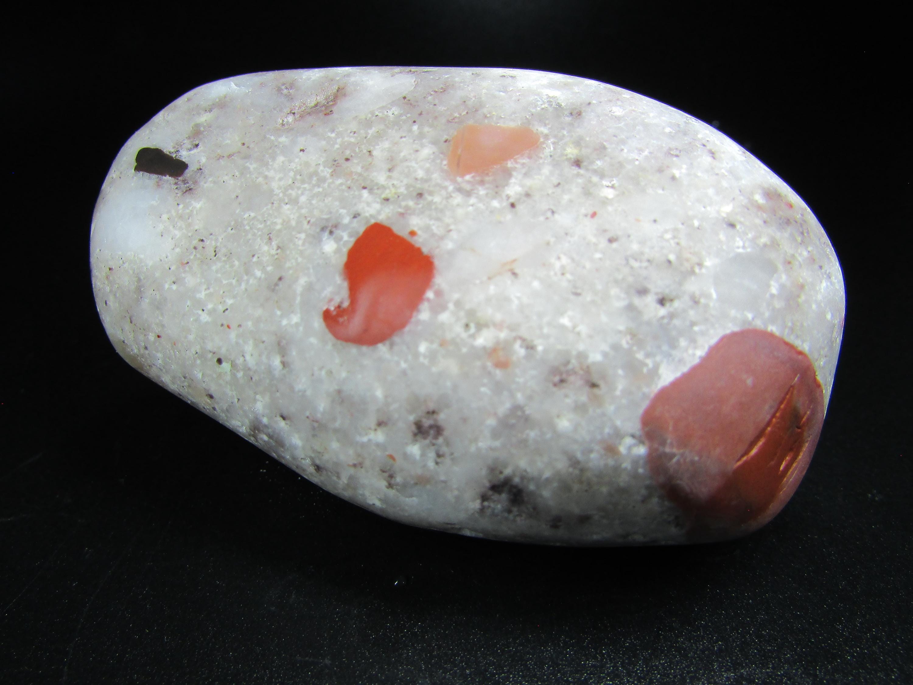 Pataski Rocks Rough Tumbled Pudding Stone & Petoskey Stone Duo - Michigan Rocks - Etsy