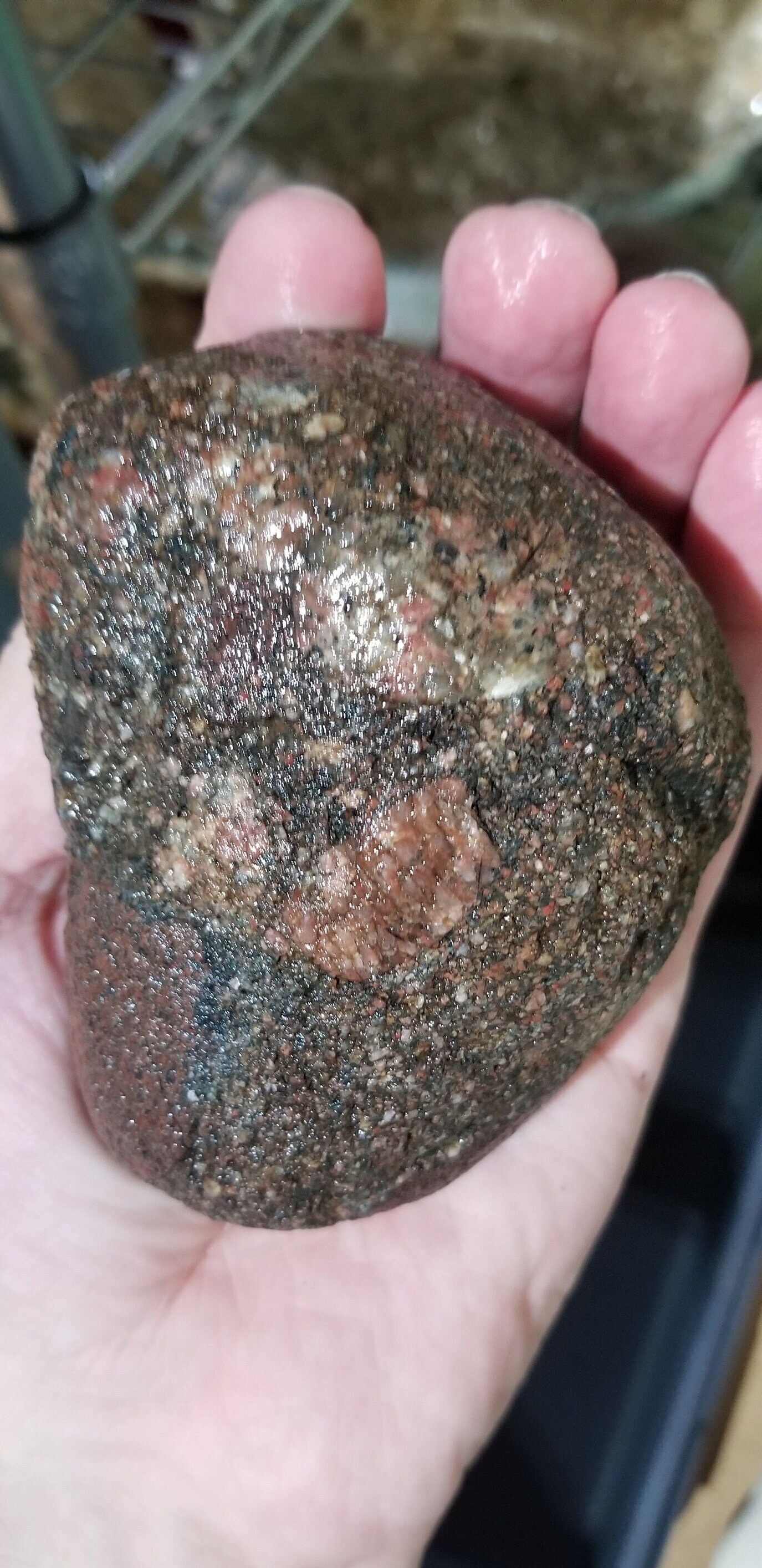 Gowganda Tillite Pudding Stone Conglomerate Rough Rock Raw Etsy