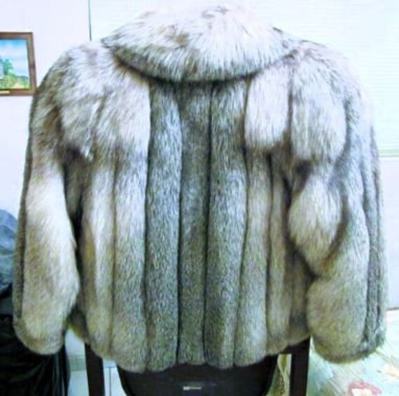 Genuine Silver/Blue Fox Fur Coat -EVANSFURS- Neve… - image 2