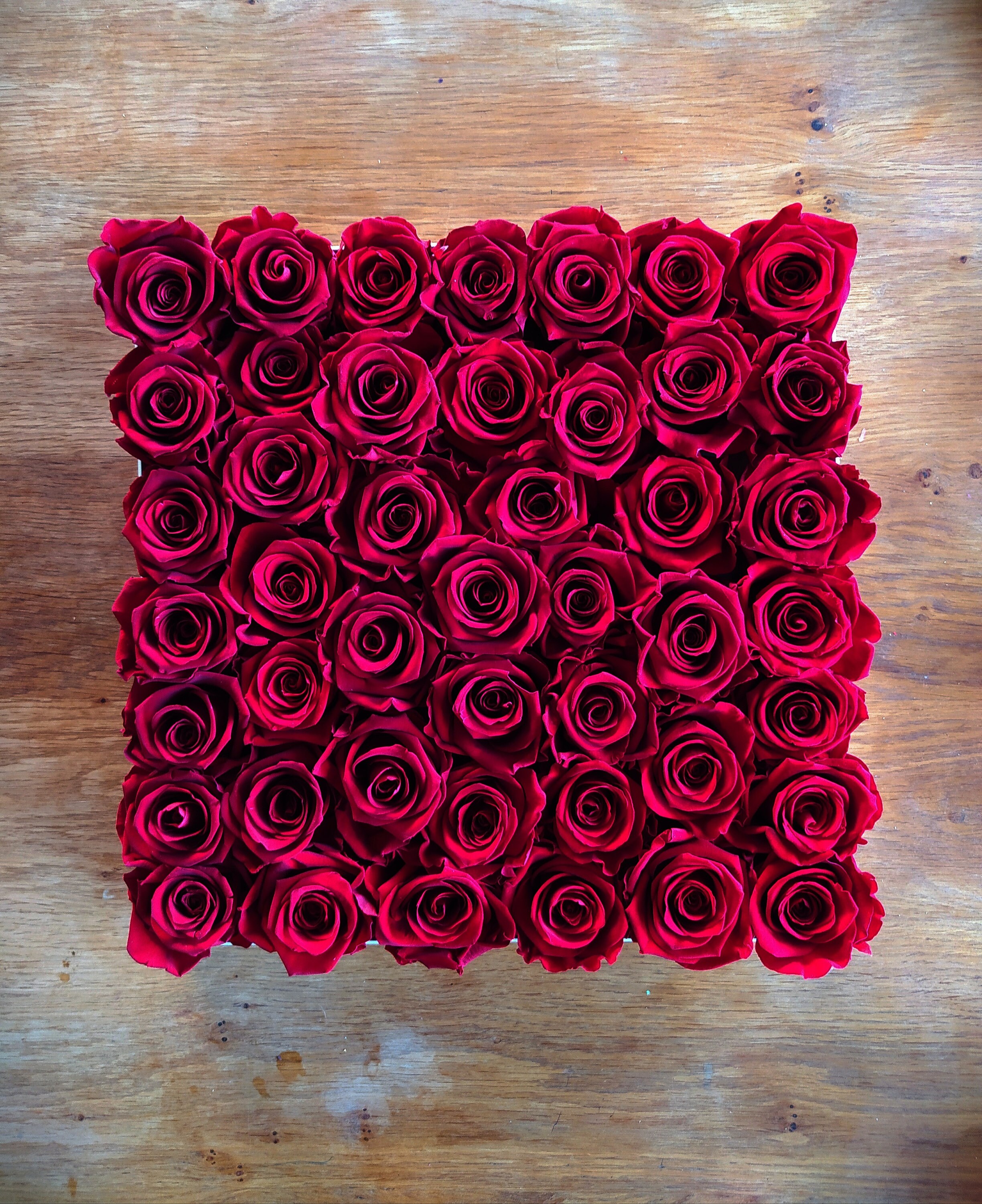 Tableau de Rose Eternel