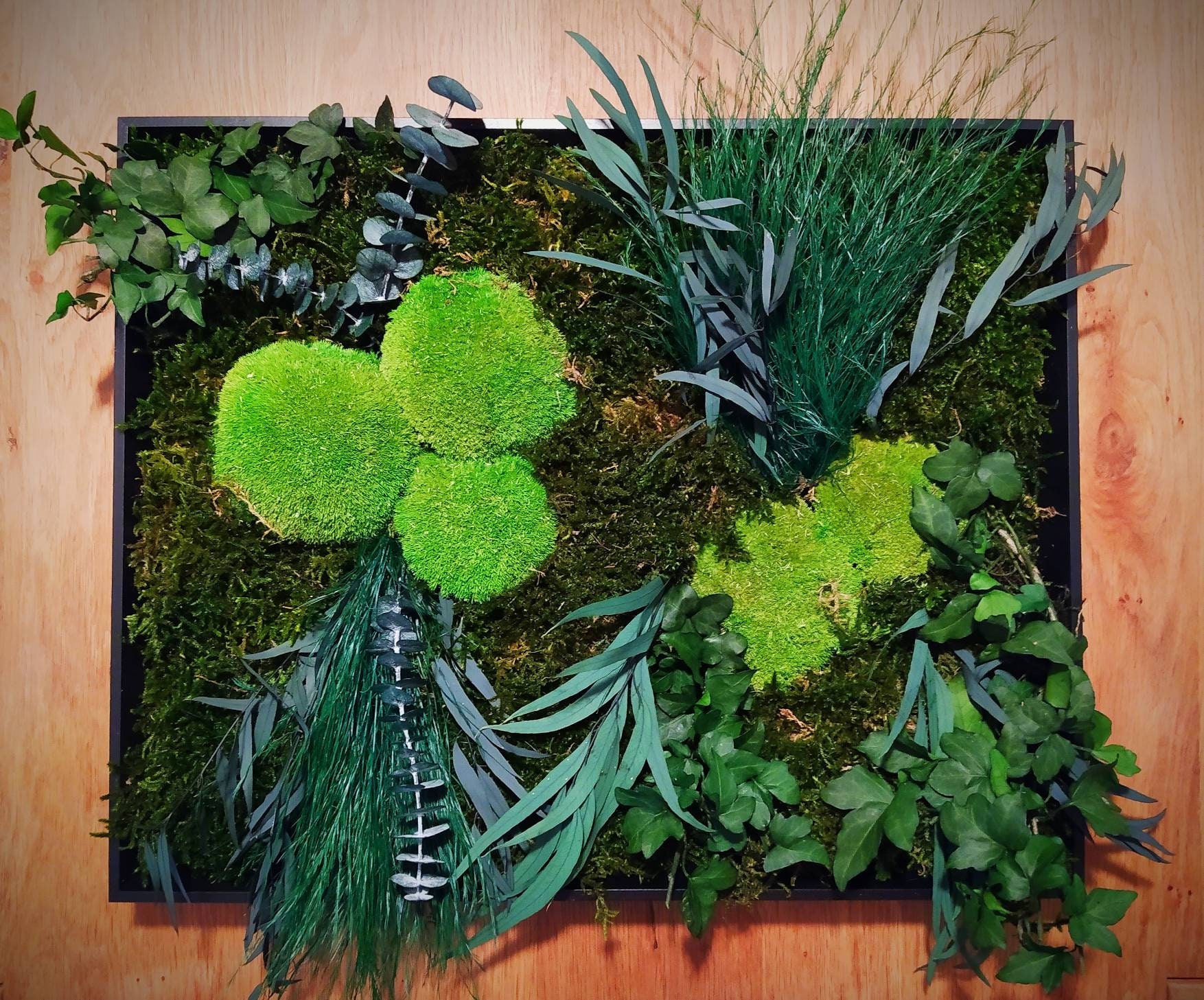 Cadre Végétal Stabilisé 50cm/40cm