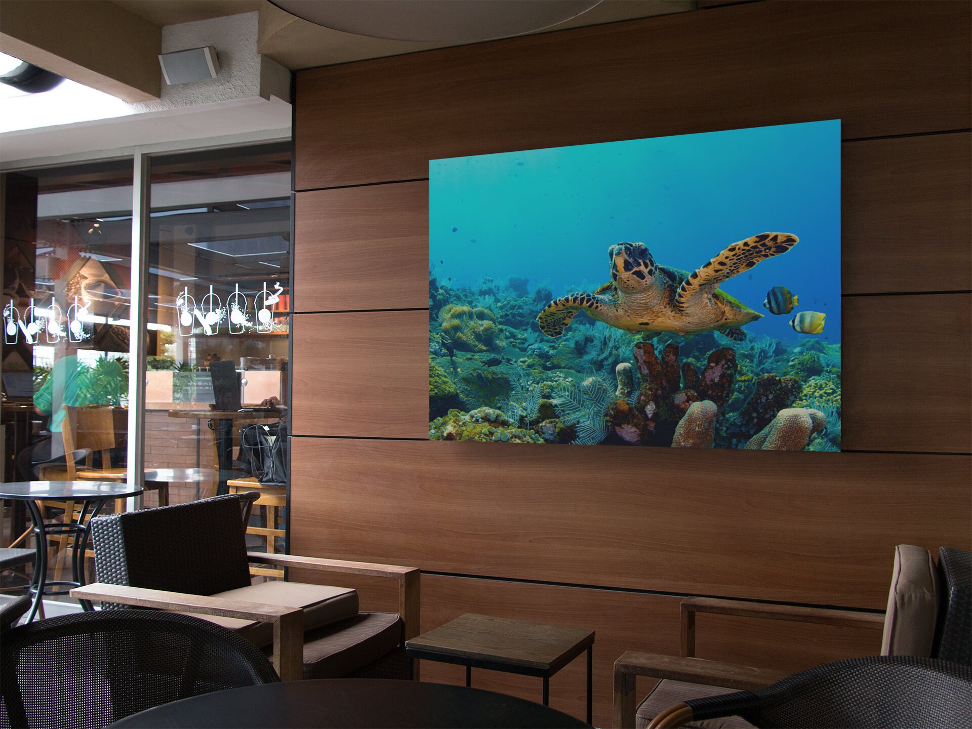 Tableau Tortue , Tableau Animal, Marine, Paysage Nature, Toile Tortue, Nature, Animaux Sauvages, Ani