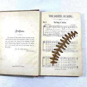 The Gospel in Song by EO Excell: 1885 Copyright for Sunday Schools and Revival Meetings image 3