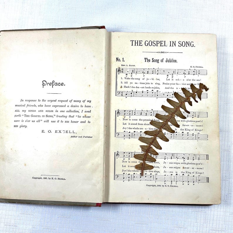 The Gospel in Song by EO Excell: 1885 Copyright for Sunday Schools and Revival Meetings image 3