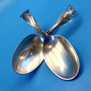 Könnte beinhalten: Zwei silberfarbene Metalllöffel, die sich an den Griffen kreuzen. Die Griffe sind mit einem geprägten Trauben- und Weinrebenmotiv verziert. Die Löffelblätter sind glatt, reflektierend und oval geformt und zeigen eine polierte Metalloberfläche.